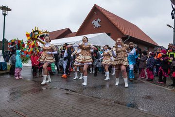 Bild 534 - Latuff 2017